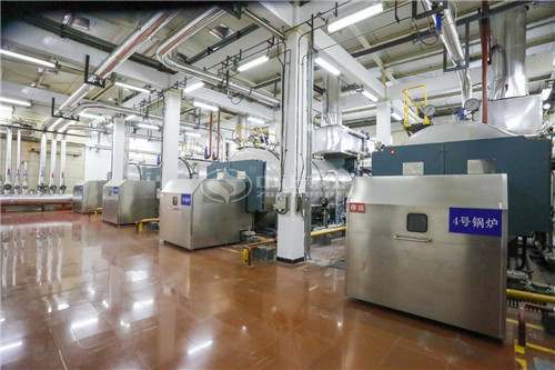 燃?xì)鈱?dǎo)熱油鍋爐廠(chǎng)價(jià)格貴嗎